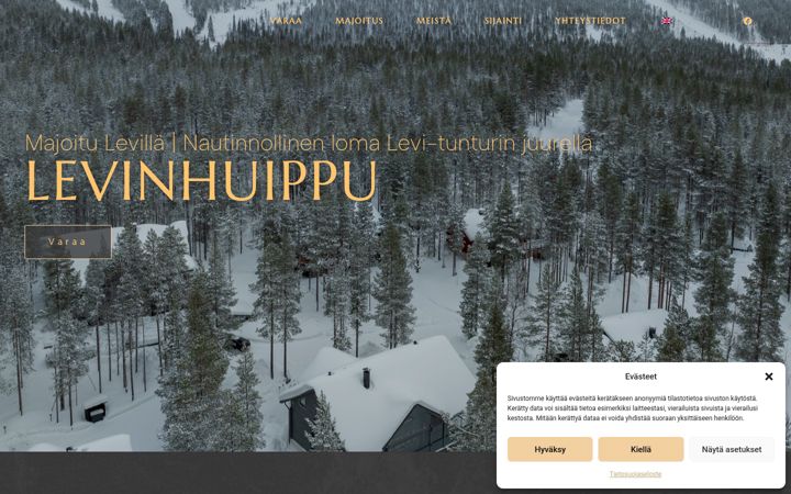 Screenshot of levinhuippu.com