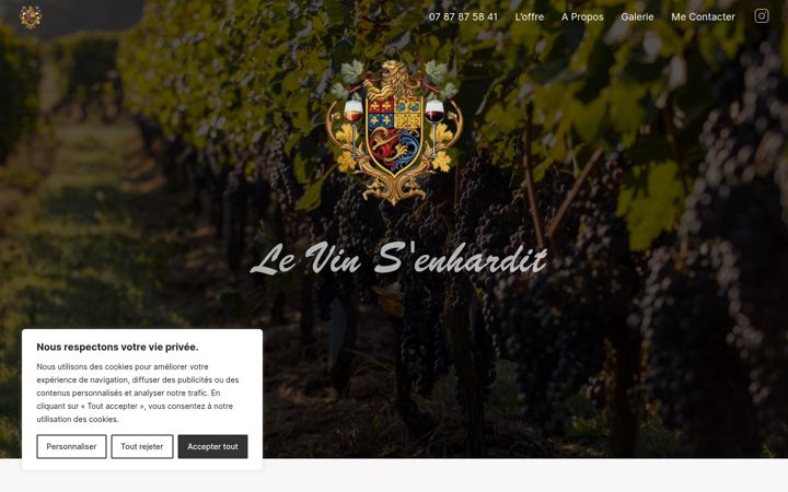 Screenshot of levinsenhardit.fr