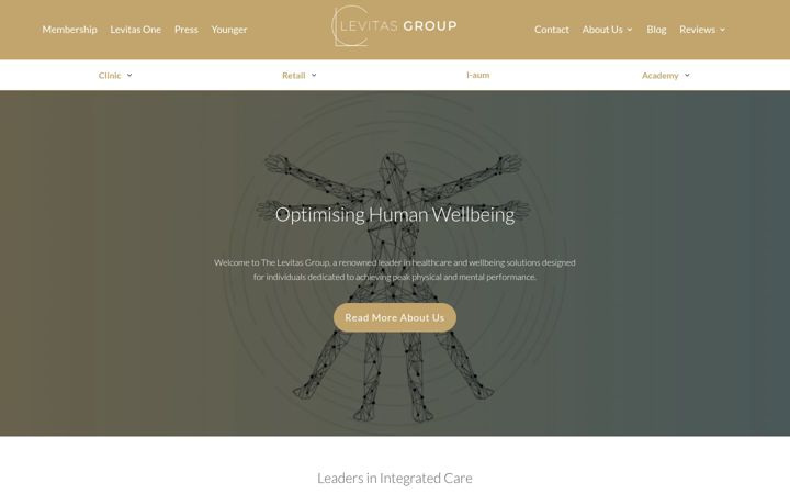 Screenshot of levitasgroup.com