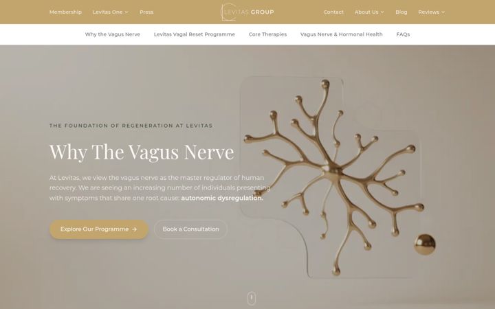 Screenshot of levitasvagalreset.com