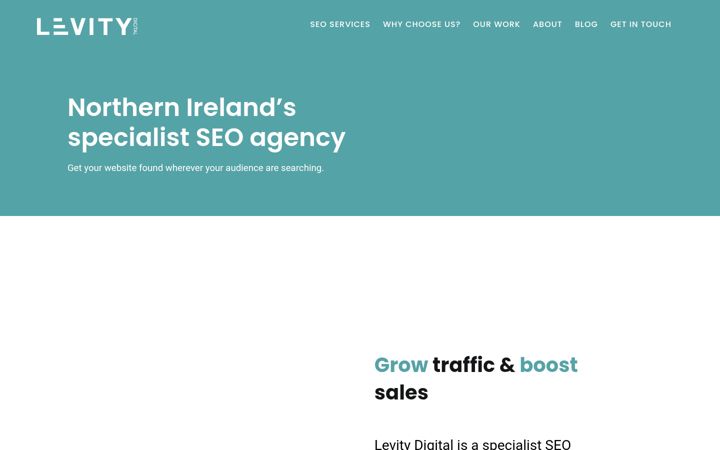 Screenshot of levitydigital.com