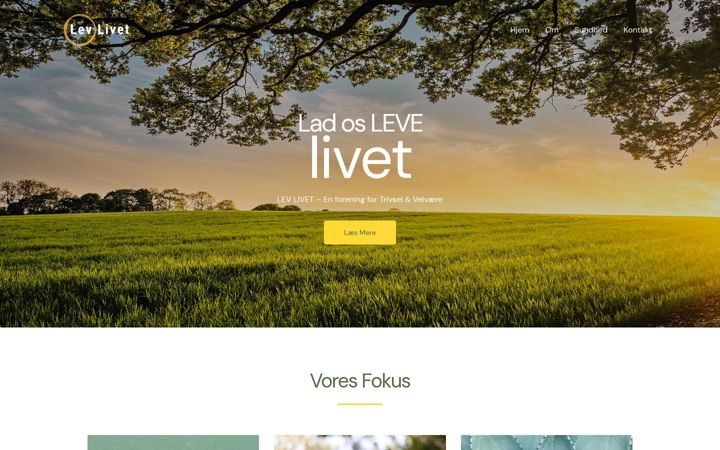 Screenshot of levlivet.org