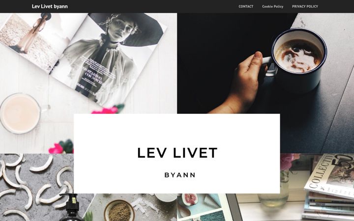 Screenshot of levlivetbyann.com