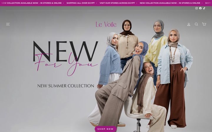 Screenshot of levoilestores.com