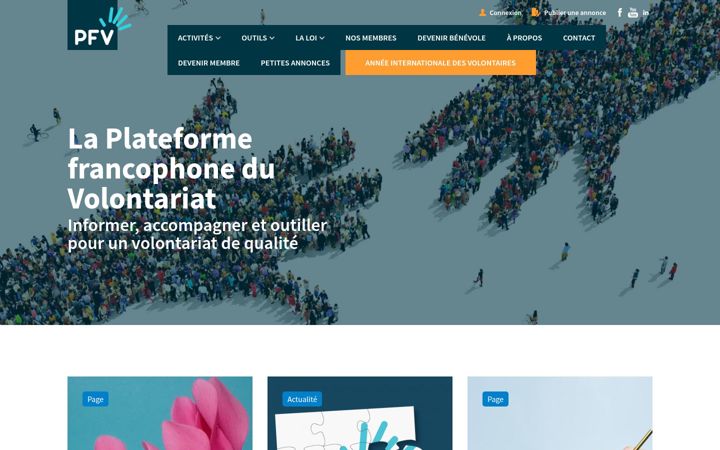 Screenshot of levolontariat.be