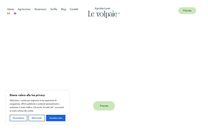 Screenshot of levolpaie.it