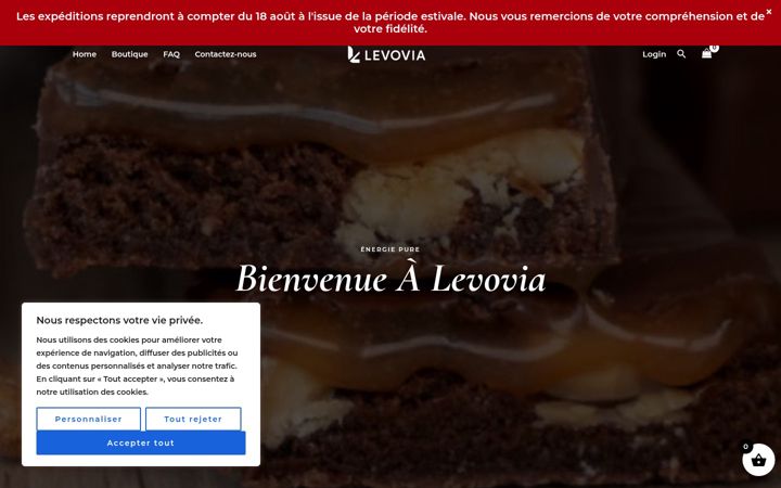 Screenshot of levovia.com