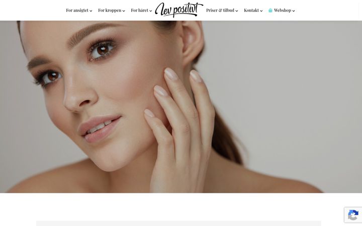 Screenshot of levpositivt.dk