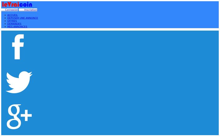 Screenshot of levraicoin.net