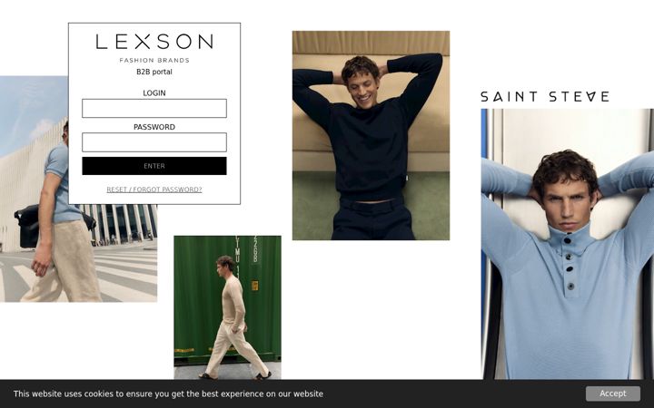 Screenshot of lexsonb2b.com