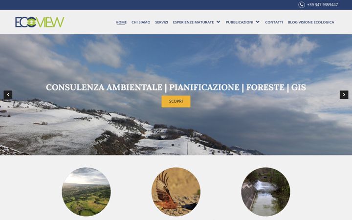 Screenshot of lezionigis.it