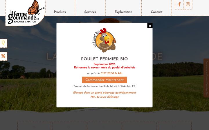 Screenshot of lfgs.ch