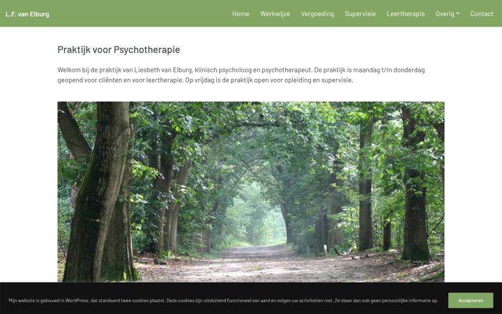 Screenshot of lfvanelburg.nl