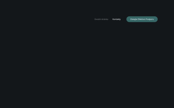 Screenshot of lg-consult.cz