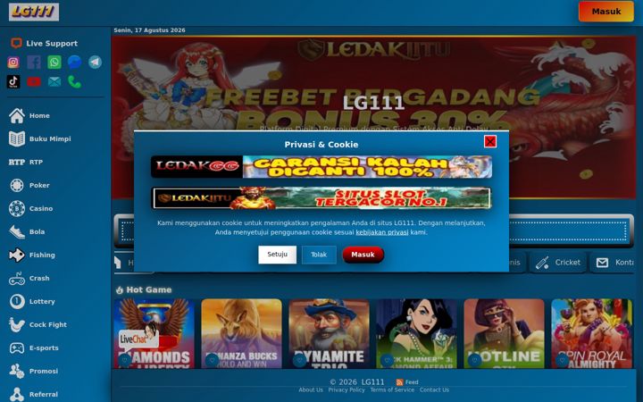 Screenshot of lg111.org