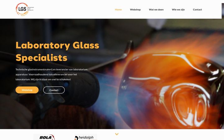 Screenshot of lgsbv.com