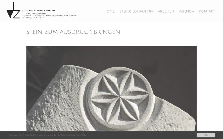 Screenshot of lhzstein.ch
