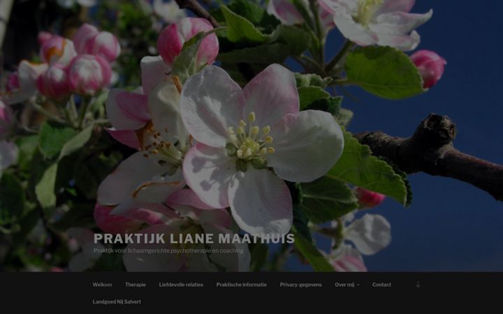 Screenshot of lianemaathuis.nl