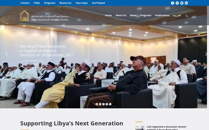 Screenshot of liasinstitute.com
