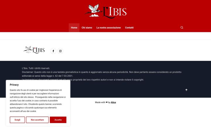 Screenshot of libis.it