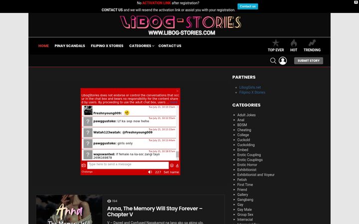 Screenshot of libog-stories.com