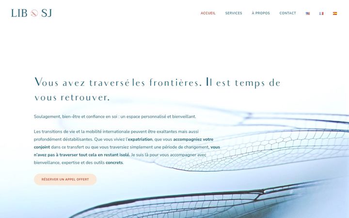 Screenshot of libsj.com