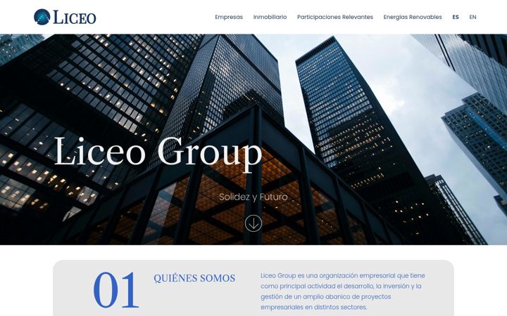 Screenshot of liceogroup.com