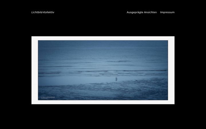 Screenshot of lichtbild-kollektiv.de