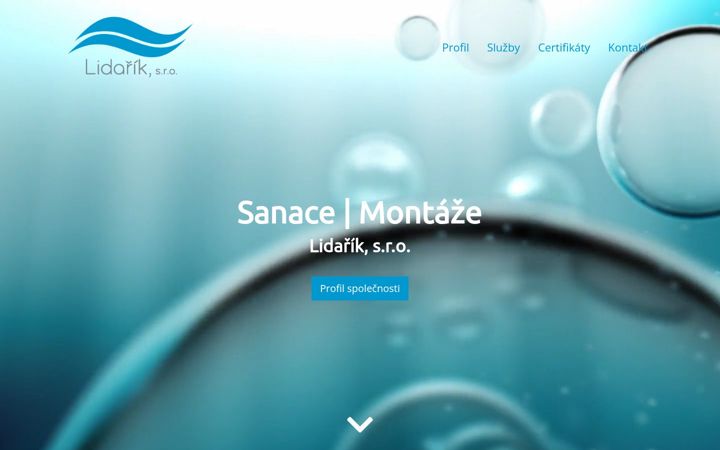 Screenshot of lidarik.net