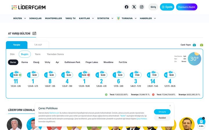 Screenshot of liderform.com.tr