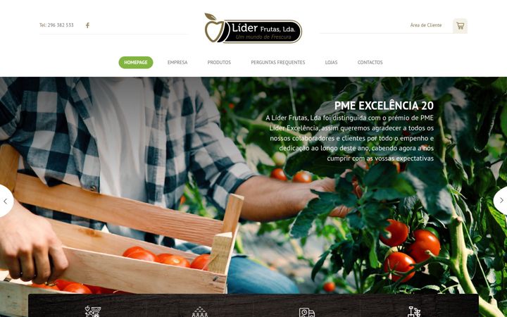 Screenshot of liderfrutas.com