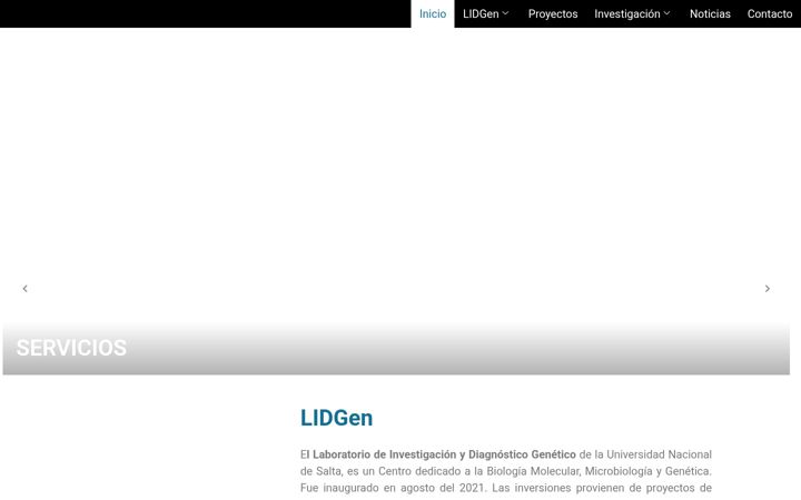 Screenshot of lidgen.com.ar