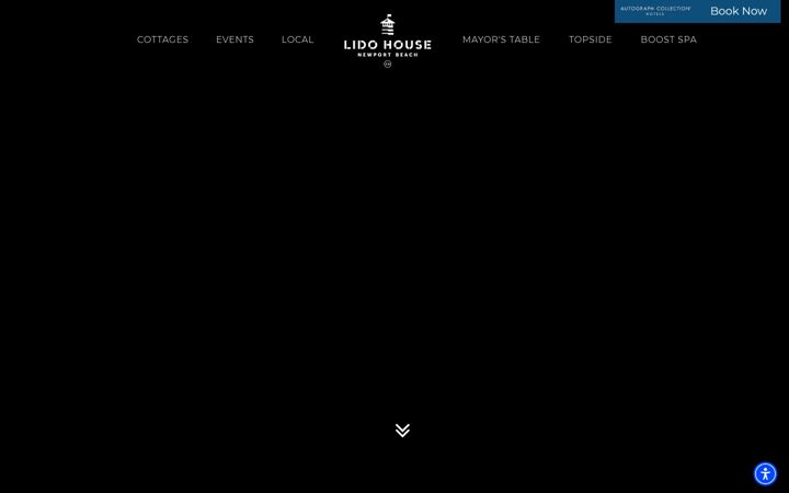 Screenshot of lidohousehotel.com