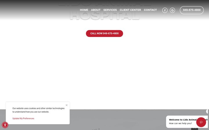 Screenshot of lidovet.com