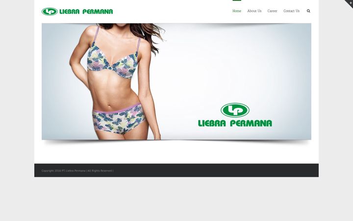 Snímek obrazovky liebrapermana.com