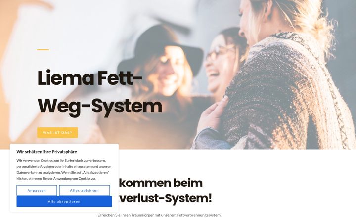 Screenshot of liema-fett-weg-system.de