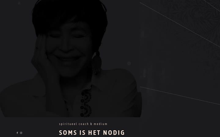Screenshot of liesbethvandijk.com