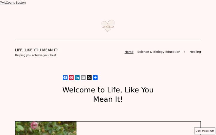 Screenshot of lifelikeyoumeanit.com