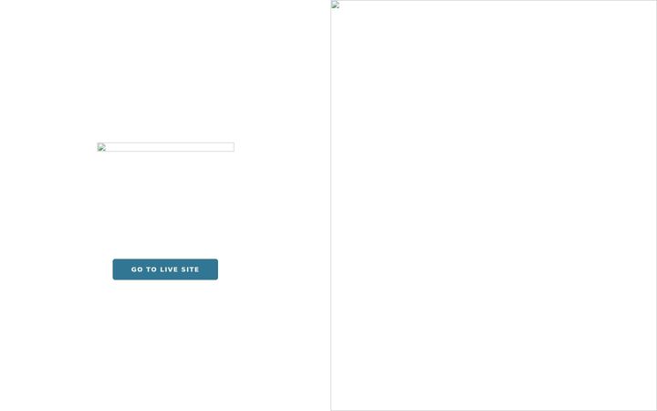 Screenshot of lifesizeplansleinster.com