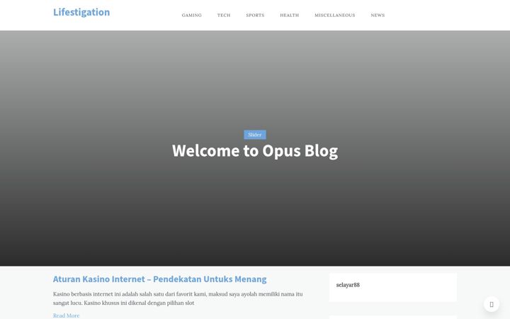 Screenshot of lifestigation.com