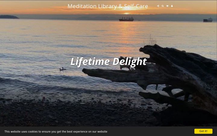 Screenshot of lifetimedelight.com