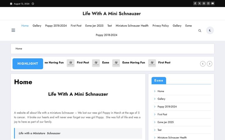 Screenshot of lifewithaminischnauzer.com
