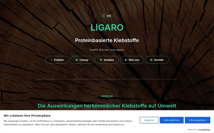 Screenshot of ligaro.org