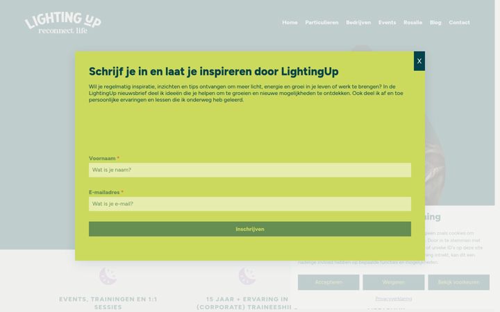 Screenshot of lightingup.nl