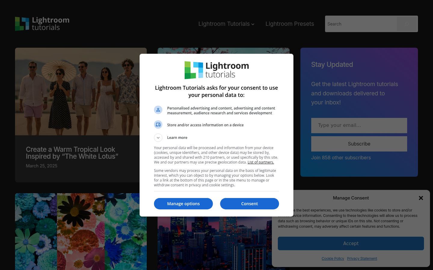 Screenshot of the consent banner shown before any interaction