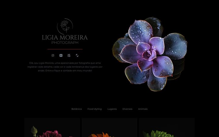 Screenshot of ligiamoreiraphoto.com.br
