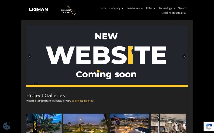 Screenshot of ligmannorthamerica.com