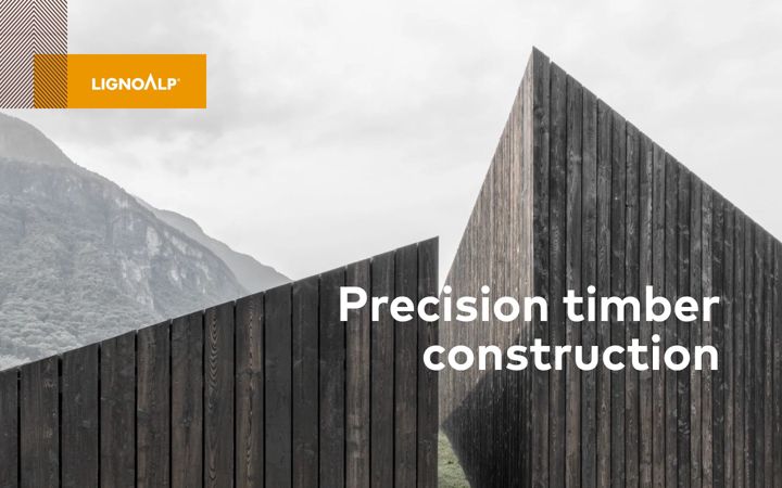 Screenshot of lignoalp.com