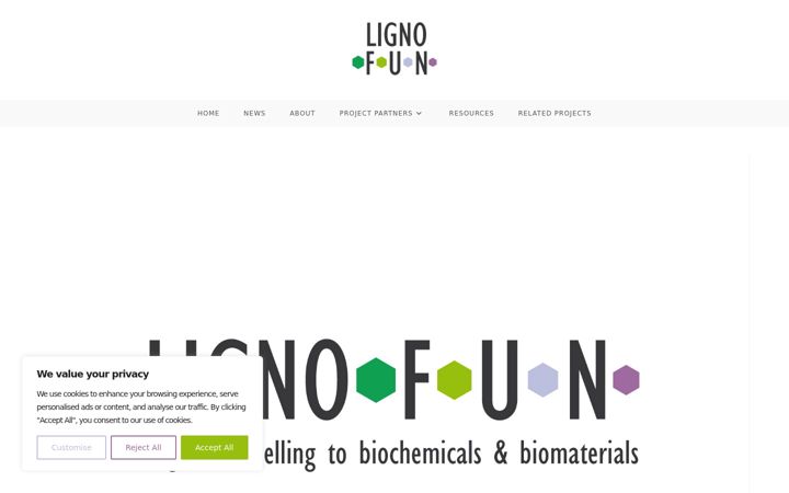 Screenshot of lignofun.com