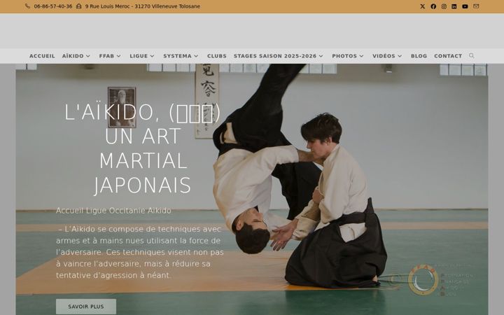 Screenshot of ligueoccitanie-aikido-ffab.fr